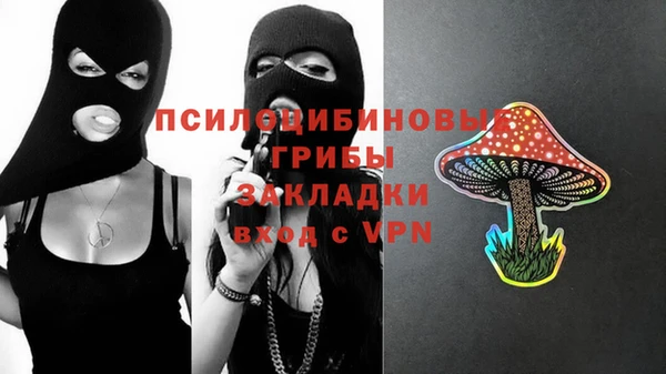 индика Вязники