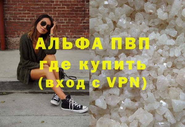 индика Вязники